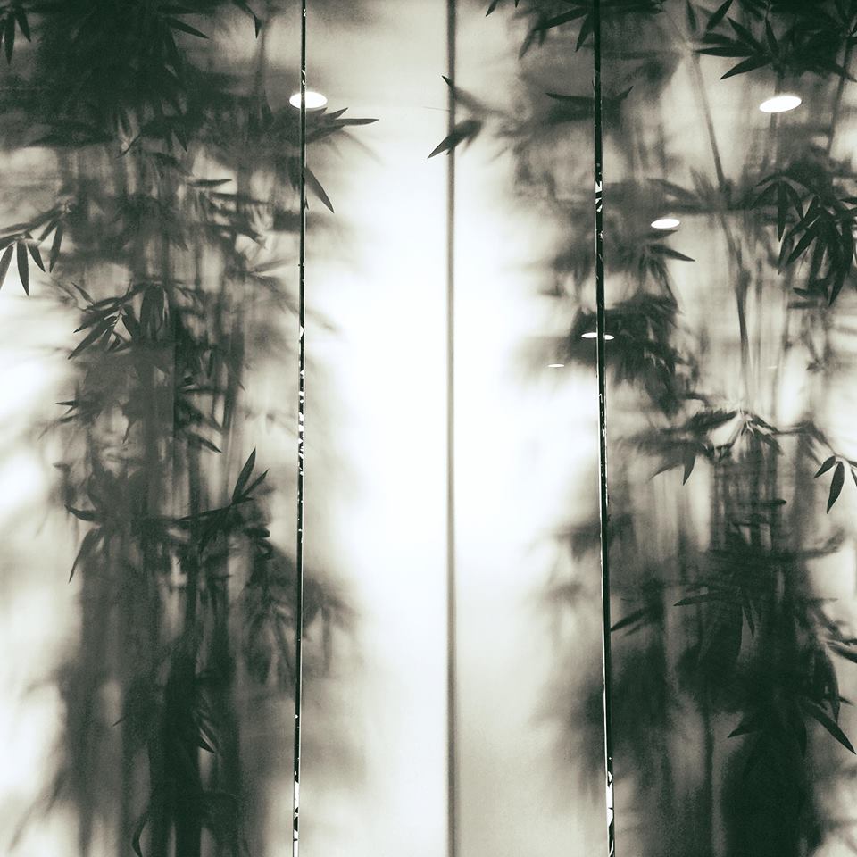 14720474_1108136935908308_2657048056482600228_n