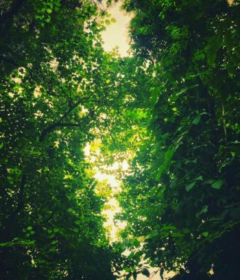 Can Future Progression visions come true