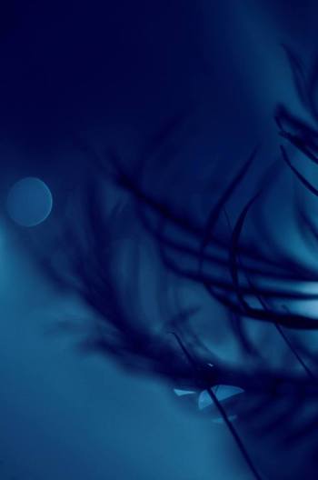 Healing the Inner Child