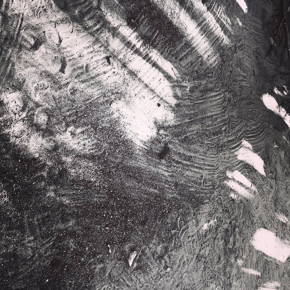 Learning to Co-exist