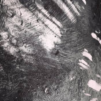 Learning to Co-exist