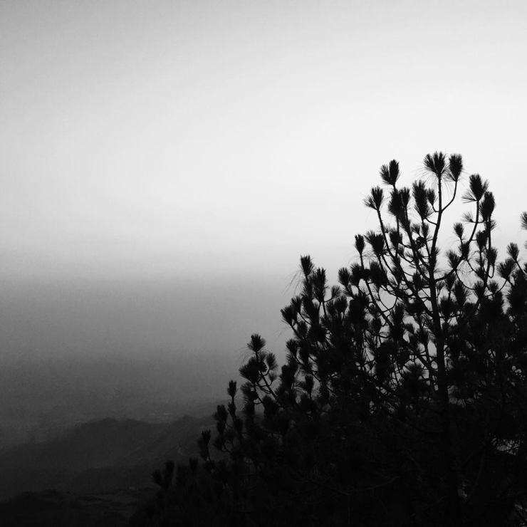 Not all trees are similar