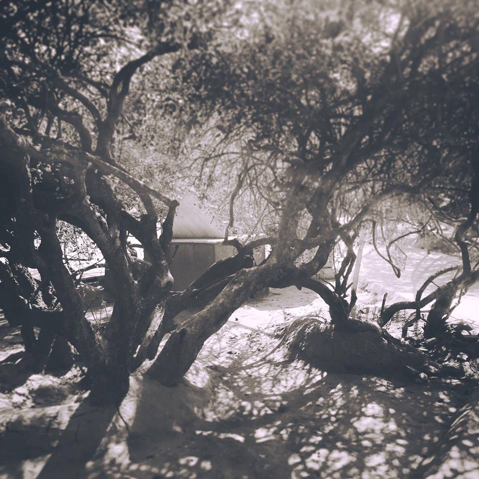 Powers put to Service