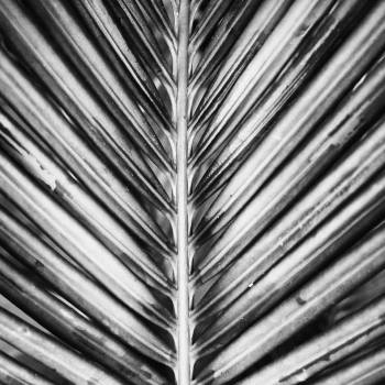 Revenge feels good, but it doesn’t end the story