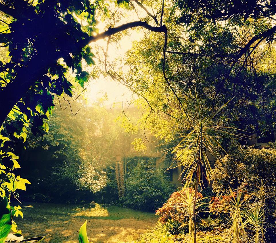 Take it as a blessing