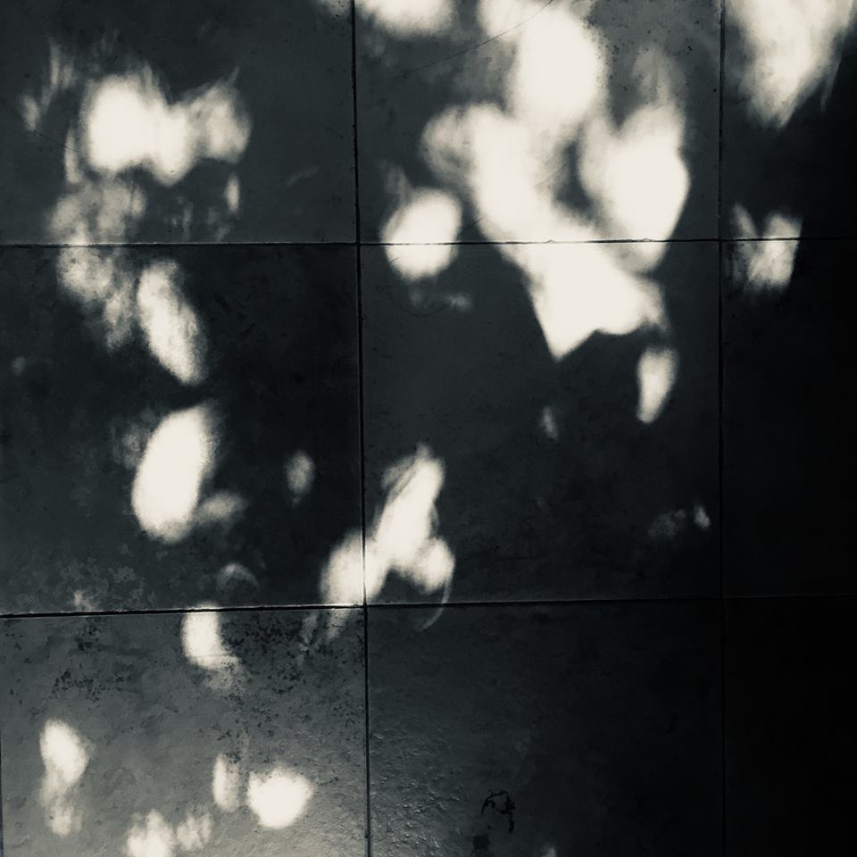 The origin of Family Dysfunction Parenting